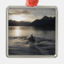 Recherche de bleu glacier ornements Personne
