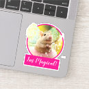 Recherche de souris autocollants Magique