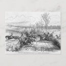 Recherche de hareng cartes postales Illustration