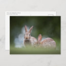 Recherche de frohe cartes postales Osterhase