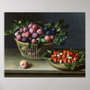 Recherche de prunes posters Panneau