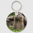 Recherche de marmotte porteclés Faune