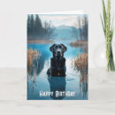 Recherche de noir labrador retriever vœux cartes Animal