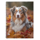 Recherche de berger australien carnets Animal