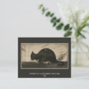 Recherche de steinlen cartes postales Vintage
