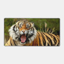 Recherche de prédateurs tapis souris Félin