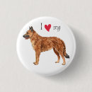 Recherche de belges badges Chien