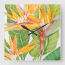 Recherche de exotique horloges Aquarelle