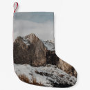 Recherche de pins chaussette de noël Nature