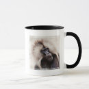 Recherche de de babouin tasses Faune