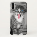 Recherche de foyer coques Animaux de bébé