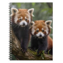 Recherche de pandas mignons carnets Bébé