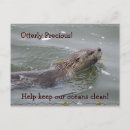 Recherche de loutre de mer cartes postales Loutres