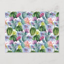 Recherche de motif cactus cartes postales Désert