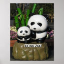 Zoek naar grappige panda posters Bamboe