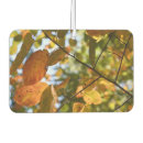Recherche de chute voiture accessoires Automne