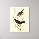 Recherche de à ailes art Couleur