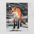 Recherche de planète cartes postales Nature