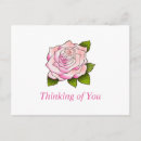 Recherche de dessins vintages cartes postales Fleur