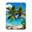 Recherche de baie magnets Tropical