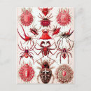 Zoek naar web briefkaarten Halloween