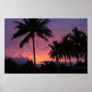 Recherche de sunset sky posters Tropical
