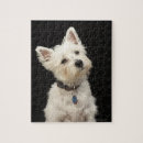 Zoek naar westie puzzels Dier