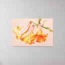 Recherche de lillie art Aquarelle