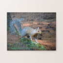 Recherche de écureuil puzzles Rongeur