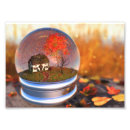 Recherche de boule de neige posters Globe