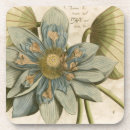 Recherche de fleur lotus dessous de verres Botanique