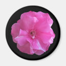 Recherche de arbre fleurissant magnets Nature