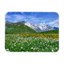 Recherche de swiss magnete Europe