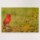 Zoek naar vogels puzzels Kardinaal