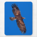 Recherche de aigle vol tapis souris Volant