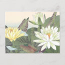 Recherche de fleur lotus cartes postales Antique