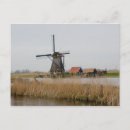 Zoek naar kinderdijk briefkaarten Windmolen