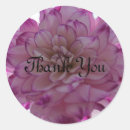 Recherche de dahlia papier autocollants Violet