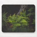 Recherche de lunatique tapis souris Vert