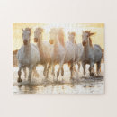Recherche de chevaux puzzles Coucher de soleil