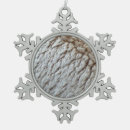 Recherche de nature ornements Photographie