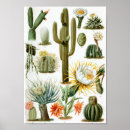 Zoek naar plant grafiek posters Botanisch