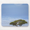 Recherche de pleine lune tapis souris Arbre