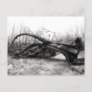 Zoek naar reuzen briefkaarten Reizen