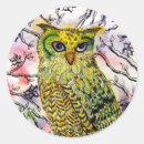 Zoek naar groene uil stickers Dier
