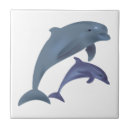 Recherche de dauphins carreaux Poissons