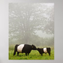 Recherche de outdoor scenes posters Nature