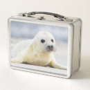 Zoek naar dier lunchboxen Sneeuw
