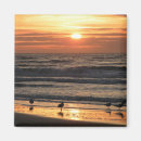 Recherche de mouettes magnets Océan