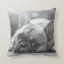Recherche de le bouledogue coussins Animal